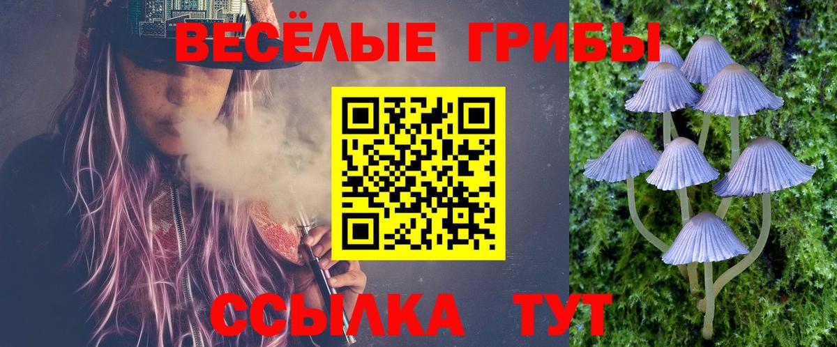 купить закладку  Псилоцибиновые грибы Magic Shrooms  Вход с VPN  Камышин 