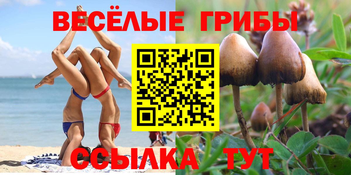 Галлюциногенные грибы GOLDEN TEACHER Камышин